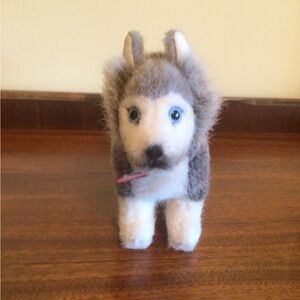 Kosen Husky Dog